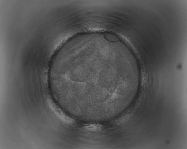 X0000116560447200912311936