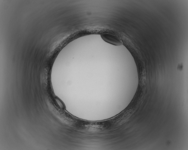 X0000116560448200912311936