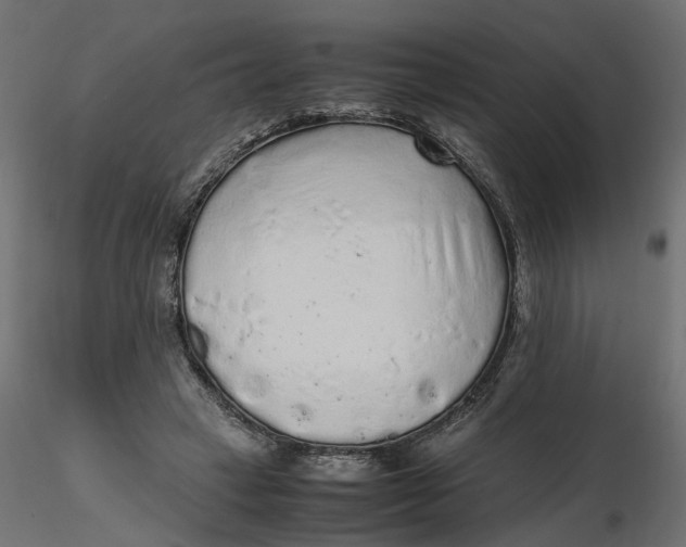 X0000116560449200912311936