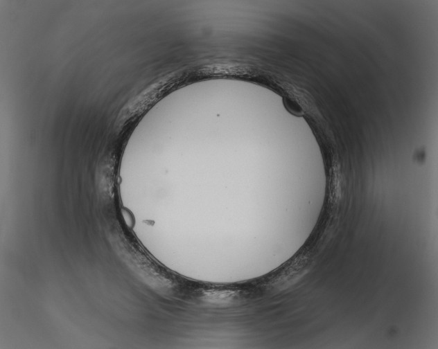 X0000116560450200912311936