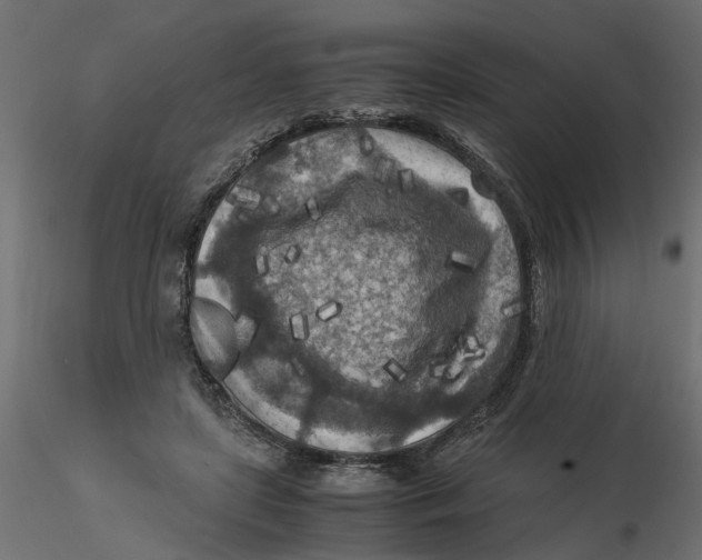 X0000116560451200912311936