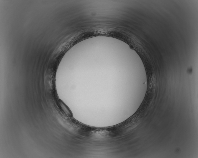 X0000116560452200912311936