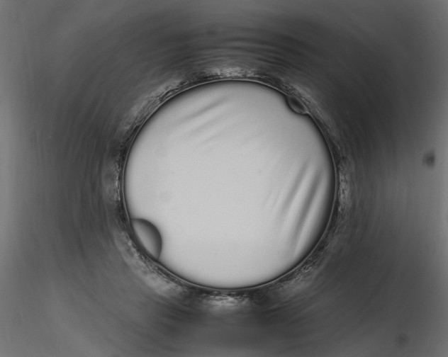 X0000116560453200912311936