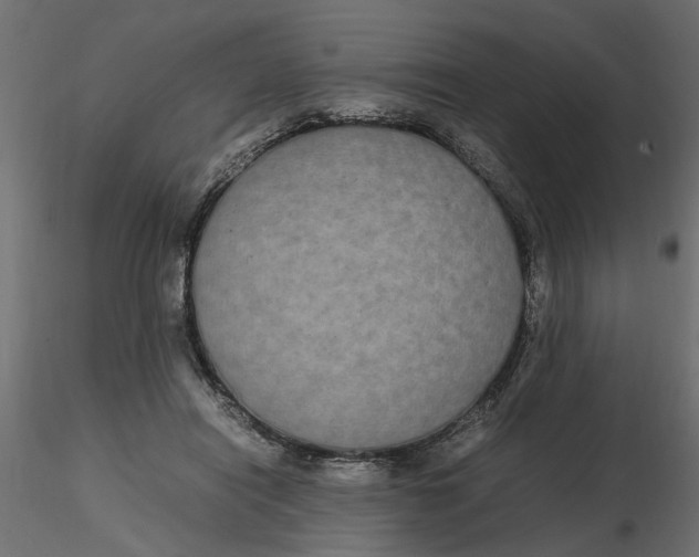 X0000116560454200912311936