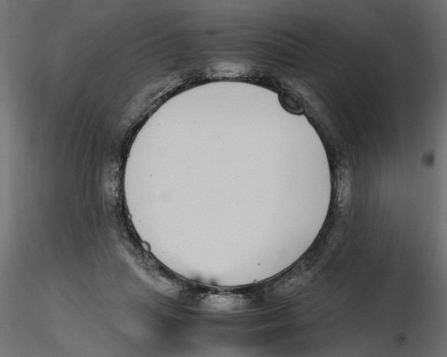 X0000116560455200912311936