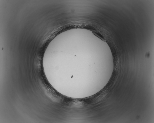 X0000116560456200912311936