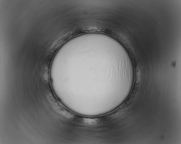 X0000116560457200912311936