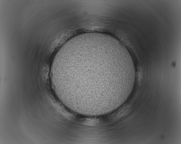 X0000116560458200912311936