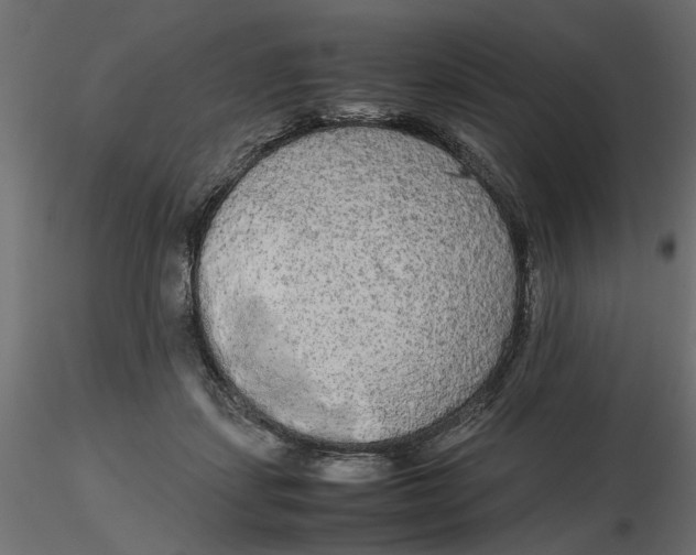 X0000116560459200912311936