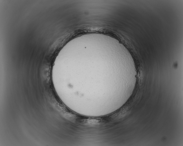 X0000116560462200912311936