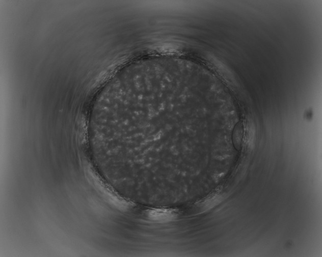 X0000116560465200912311936