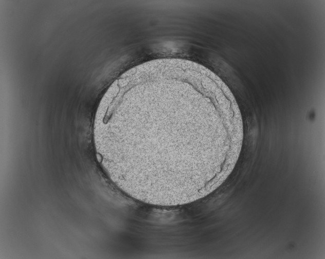 X0000116560469200912311936