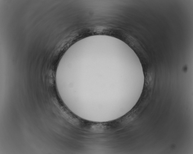 X0000116560470200912311936