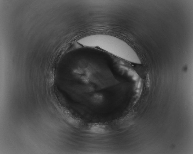 X0000116560471200912311936