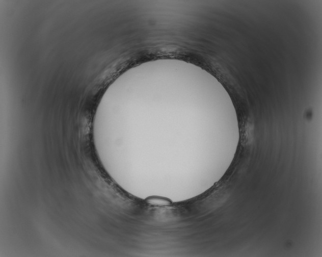 X0000116560472200912311936