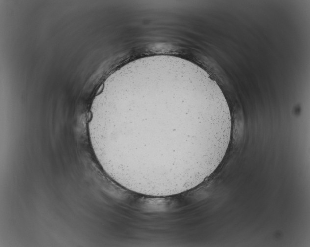 X0000116560473200912311936