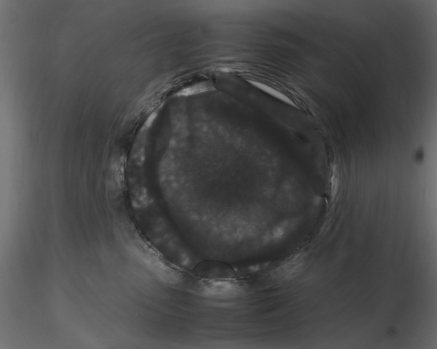 X0000116560475200912311936