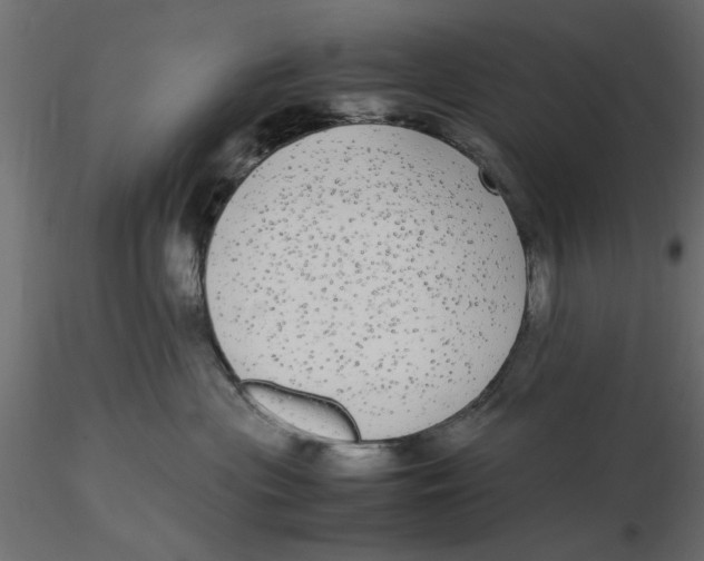 X0000116560477200912311936