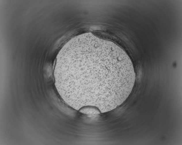 X0000116560478200912311936