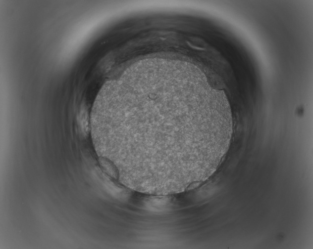 X0000116560479200912311936