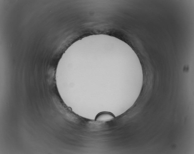 X0000116560480200912311936