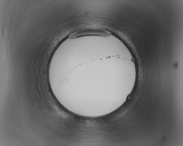 X0000116560481200912311936