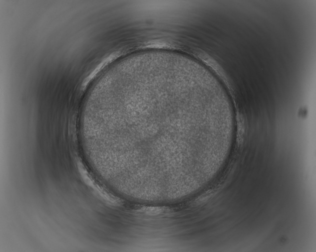 X0000116560482200912311936