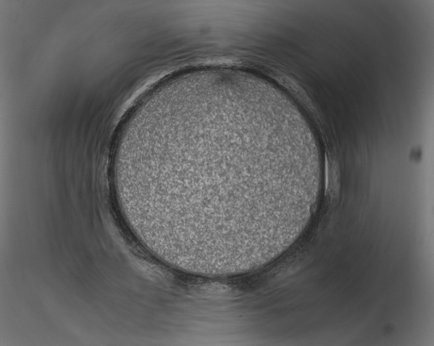 X0000116560483200912311936