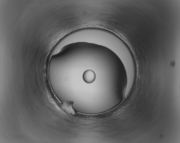 X0000116560485200912311936