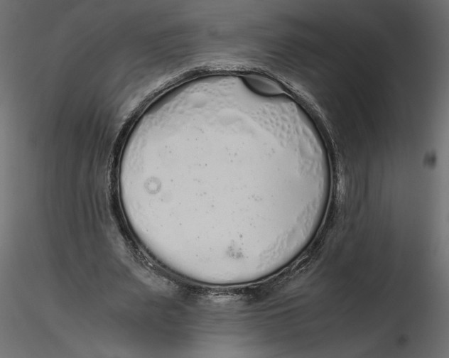 X0000116560487200912311935