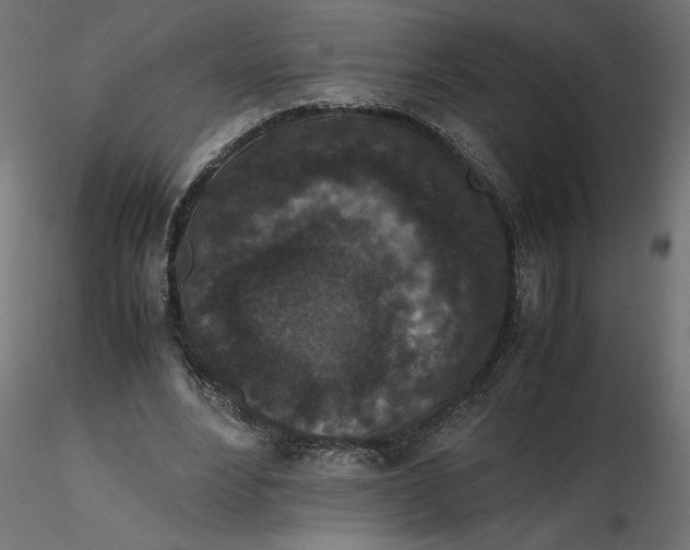 X0000116560488200912311935