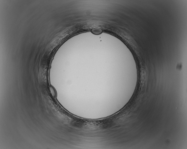 X0000116560489200912311935