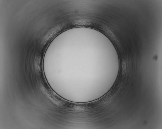 X0000116560490200912311935