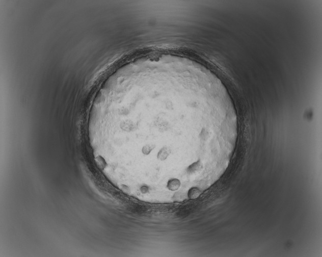 X0000116560491200912311935