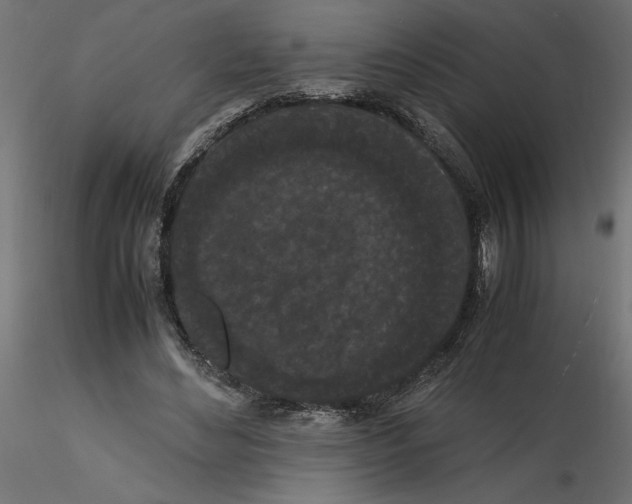 X0000116560492200912311935