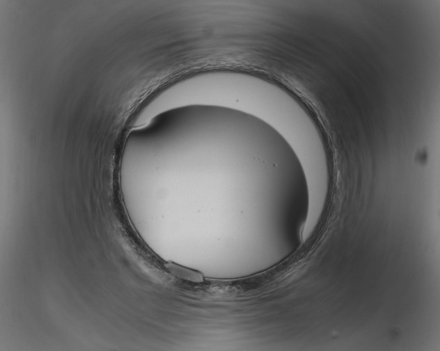 X0000116560493200912311935