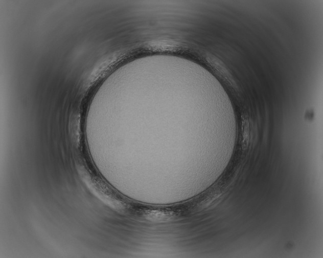 X0000116560494200912311935