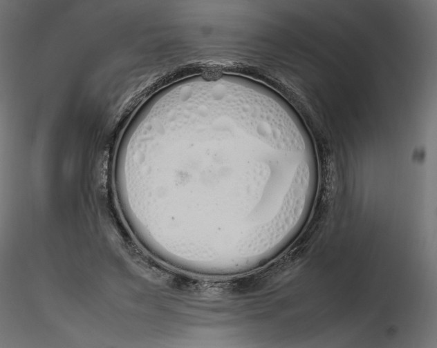 X0000116560495200912311935