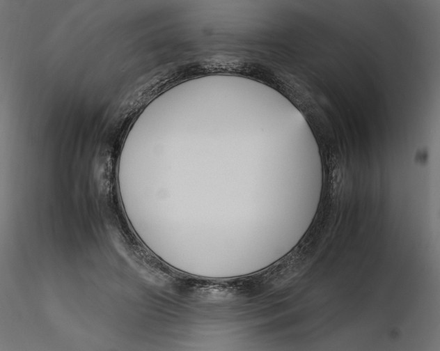 X0000116560498200912311935