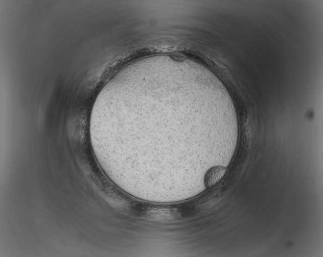 X0000116560499200912311935