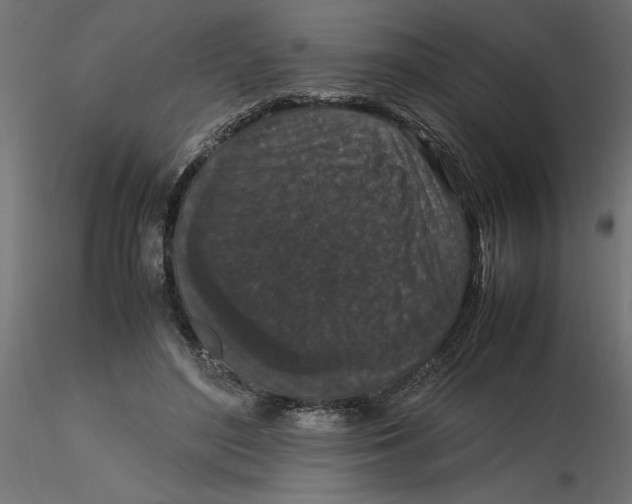 X0000116560500200912311935