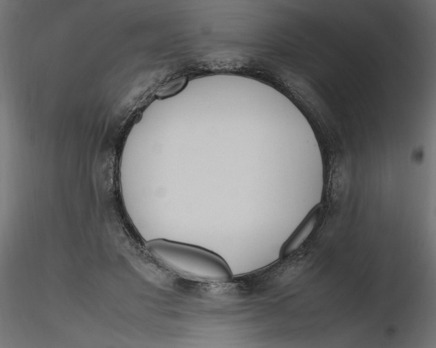 X0000116560501200912311935