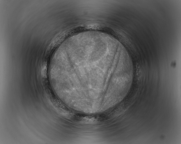 X0000116560502200912311935