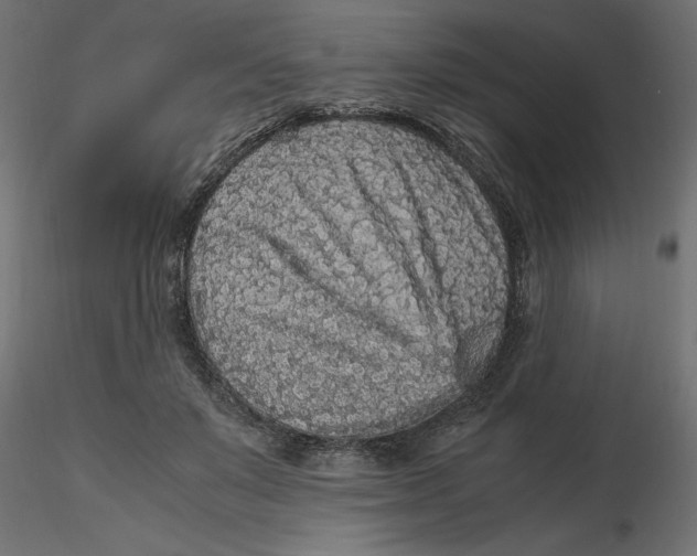 X0000116560503200912311935