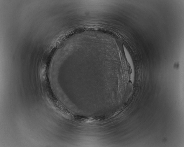 X0000116560504200912311935