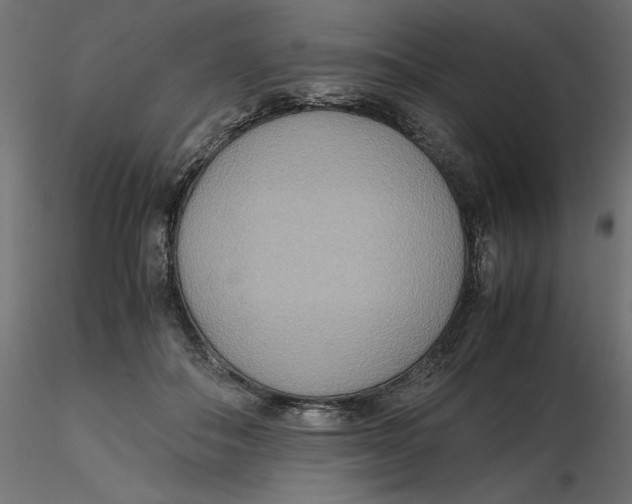 X0000116560506200912311935