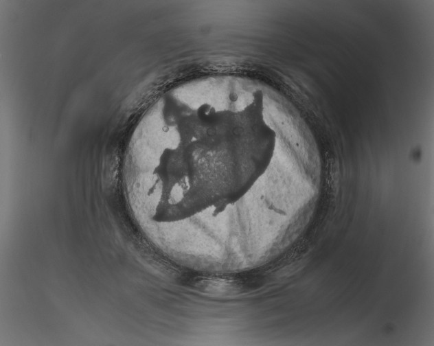 X0000116560507200912311935