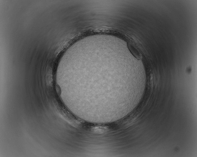 X0000116560508200912311935