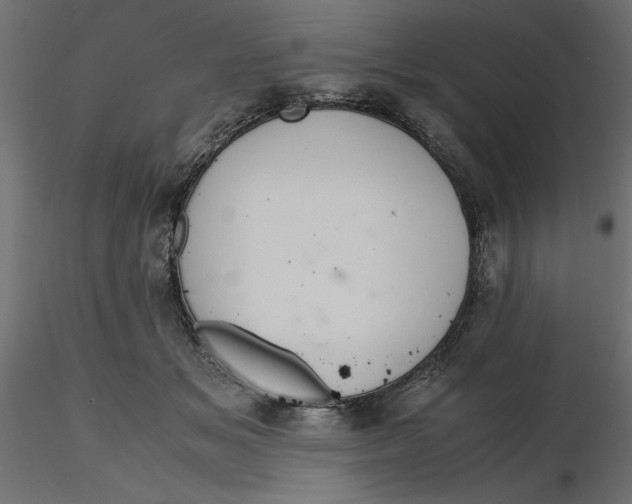 X0000116560509200912311935