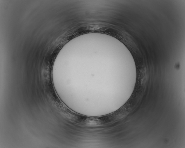 X0000116560510200912311935